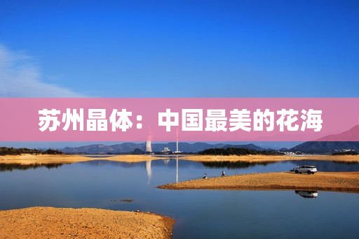苏州晶体：中国最美的花海