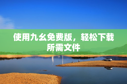 使用九幺免费版，轻松下载所需文件