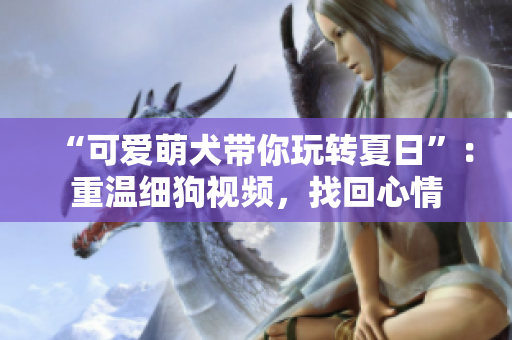 “可爱萌犬带你玩转夏日”：重温细狗视频，找回心情