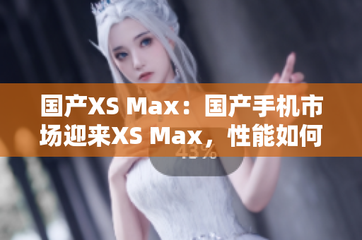 国产XS Max：国产手机市场迎来XS Max，性能如何？