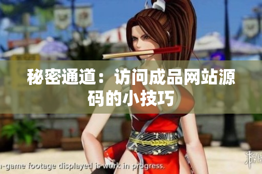秘密通道：访问成品网站源码的小技巧