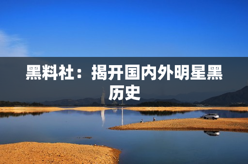 黑料社：揭开国内外明星黑历史