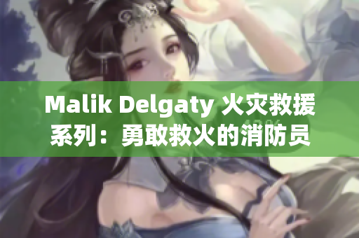 Malik Delgaty 火灾救援系列：勇敢救火的消防员