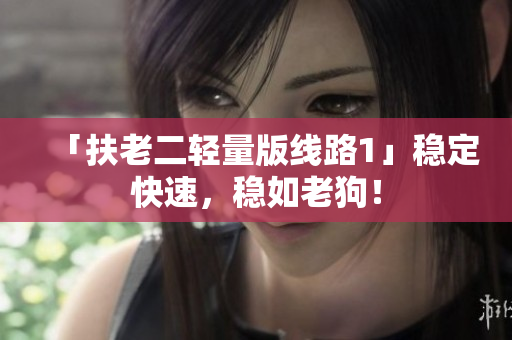 「扶老二轻量版线路1」稳定快速，稳如老狗！