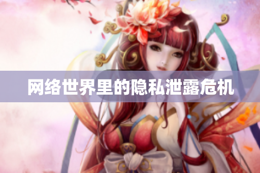 网络世界里的隐私泄露危机