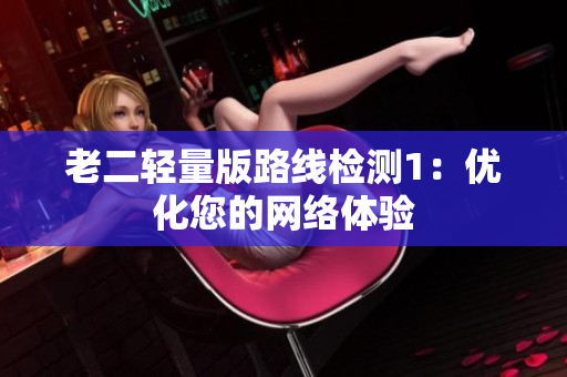老二轻量版路线检测1：优化您的网络体验
