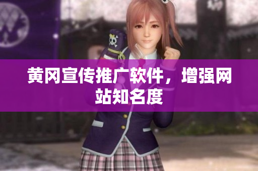 黄冈宣传推广软件，增强网站知名度