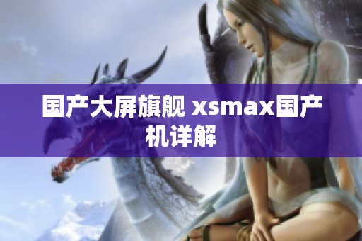 国产大屏旗舰 xsmax国产机详解