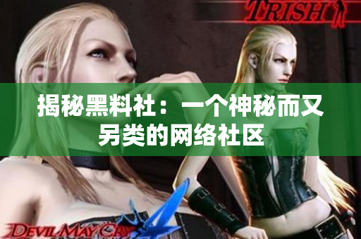 揭秘黑料社：一个神秘而又另类的网络社区