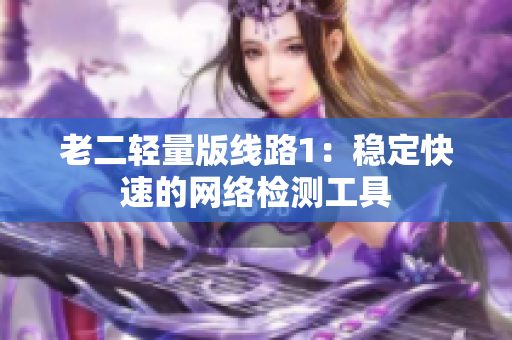 老二轻量版线路1：稳定快速的网络检测工具