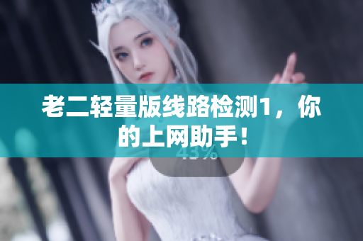 老二轻量版线路检测1，你的上网助手！