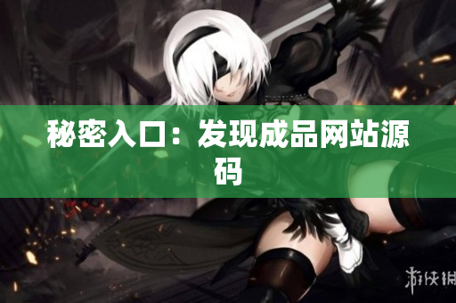 秘密入口：发现成品网站源码