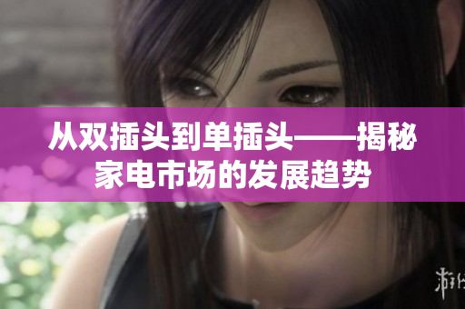 从双插头到单插头——揭秘家电市场的发展趋势