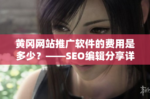 黄冈网站推广软件的费用是多少？——SEO编辑分享详情