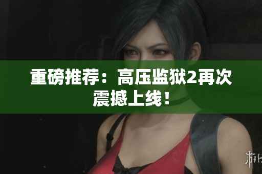 重磅推荐：高压监狱2再次震撼上线！