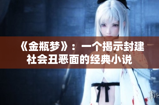 《金瓶梦》：一个揭示封建社会丑恶面的经典小说
