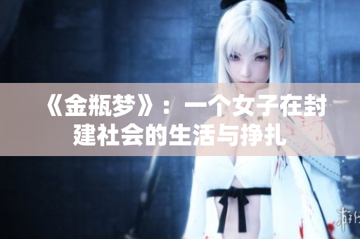 《金瓶梦》：一个女子在封建社会的生活与挣扎