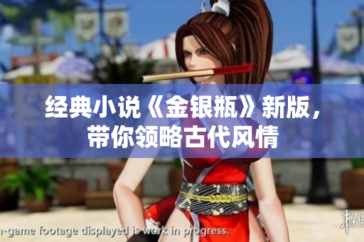 经典小说《金银瓶》新版，带你领略古代风情