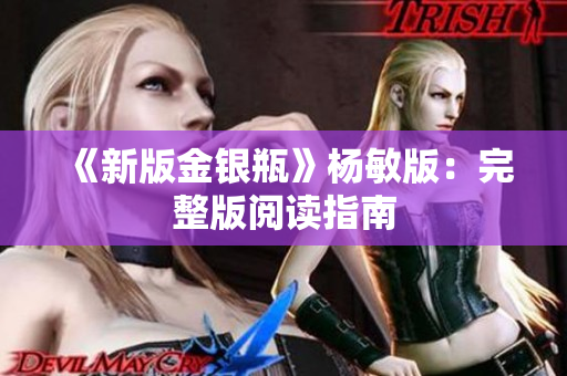 《新版金银瓶》杨敏版：完整版阅读指南