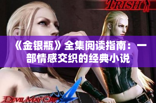 《金银瓶》全集阅读指南：一部情感交织的经典小说