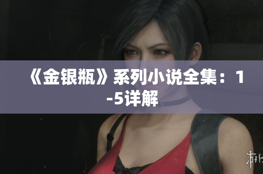 《金银瓶》系列小说全集：1-5详解