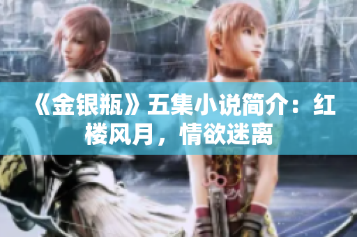 《金银瓶》五集小说简介：红楼风月，情欲迷离