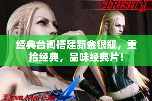 经典台词搭建新金银瓶，重拾经典，品味经典片！