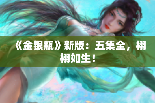 《金银瓶》新版：五集全，栩栩如生！