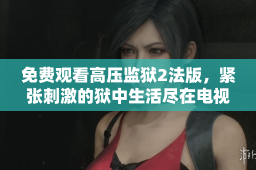 免费观看高压监狱2法版，紧张刺激的狱中生活尽在电视！