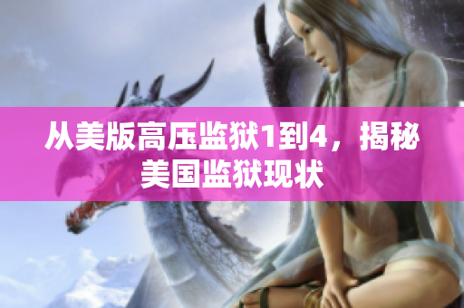 从美版高压监狱1到4，揭秘美国监狱现状