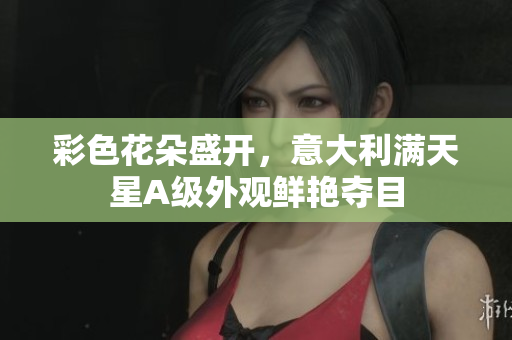 彩色花朵盛开，意大利满天星A级外观鲜艳夺目