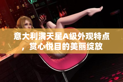 意大利满天星A级外观特点，赏心悦目的美丽绽放