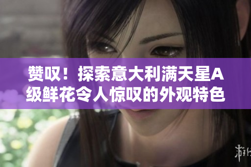 赞叹！探索意大利满天星A级鲜花令人惊叹的外观特色