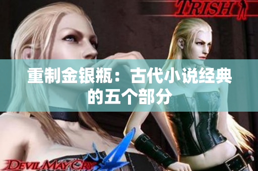 重制金银瓶：古代小说经典的五个部分