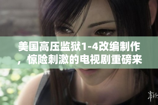 美国高压监狱1-4改编制作，惊险刺激的电视剧重磅来袭！