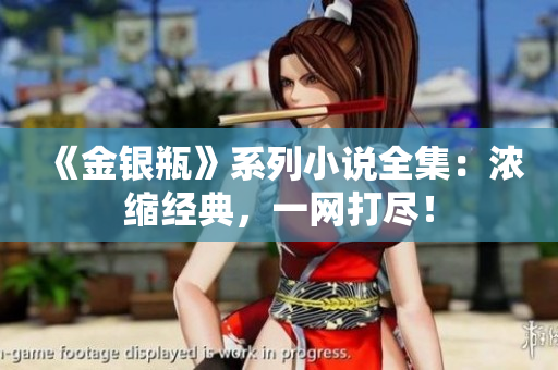 《金银瓶》系列小说全集：浓缩经典，一网打尽！