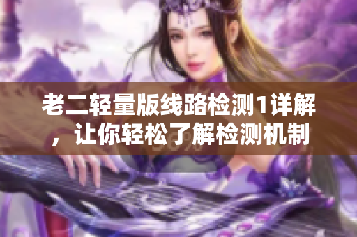 老二轻量版线路检测1详解，让你轻松了解检测机制