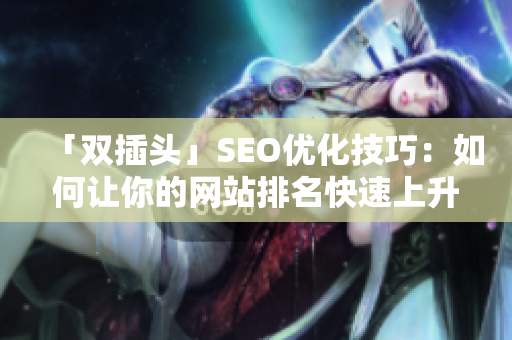 「双插头」SEO优化技巧：如何让你的网站排名快速上升？