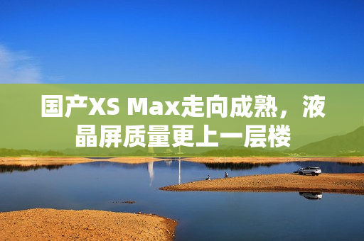 国产XS Max走向成熟，液晶屏质量更上一层楼