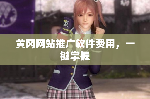 黄冈网站推广软件费用，一键掌握