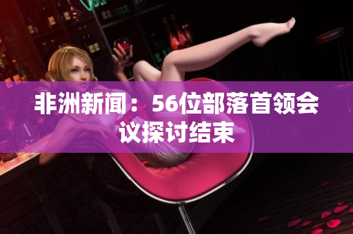 非洲新闻：56位部落首领会议探讨结束