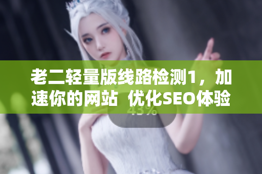 老二轻量版线路检测1，加速你的网站  优化SEO体验