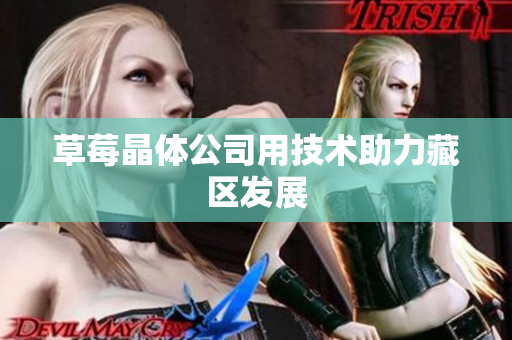 草莓晶体公司用技术助力藏区发展