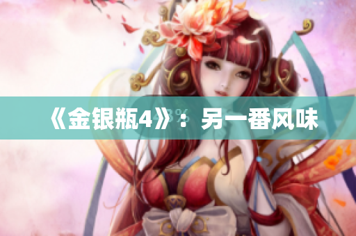 《金银瓶4》：另一番风味