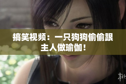 搞笑视频：一只狗狗偷偷跟主人做瑜伽！