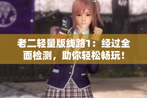 老二轻量版线路1：经过全面检测，助你轻松畅玩！