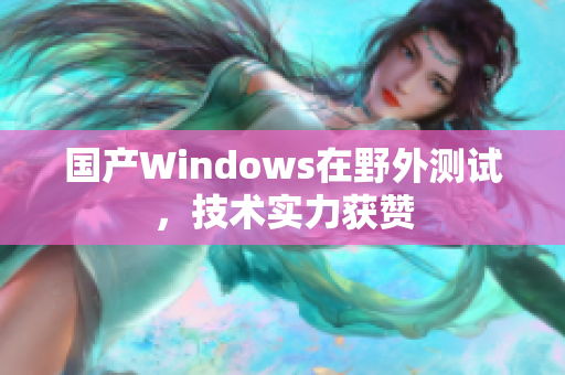 国产Windows在野外测试，技术实力获赞