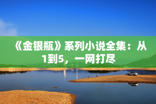 《金银瓶》系列小说全集：从1到5，一网打尽