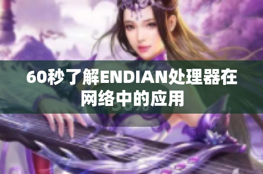 60秒了解ENDIAN处理器在网络中的应用