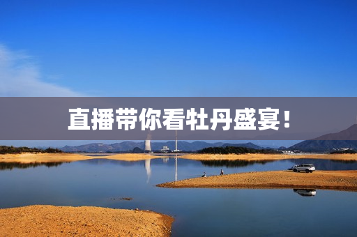 直播带你看牡丹盛宴！